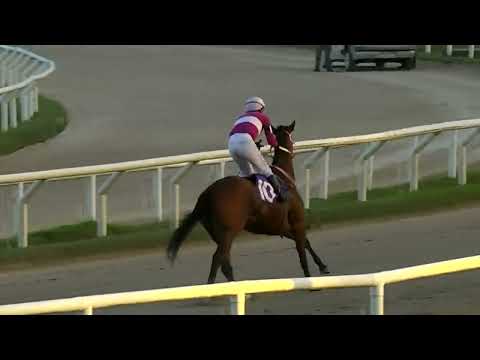 220418 c11 - DIOSA FREYA - HIPODROMO LAS PIEDRAS