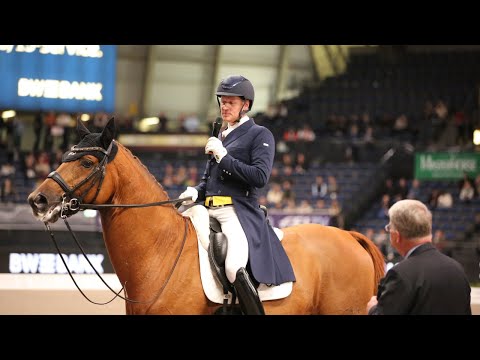 GERMAN DRESSAGE MASTER