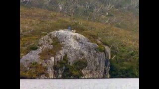 preview picture of video 'Tours-TV.com: Sheffield, Tasmania'