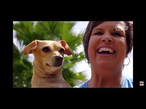 The Dark Side Of The Ring Chris Benoit part one