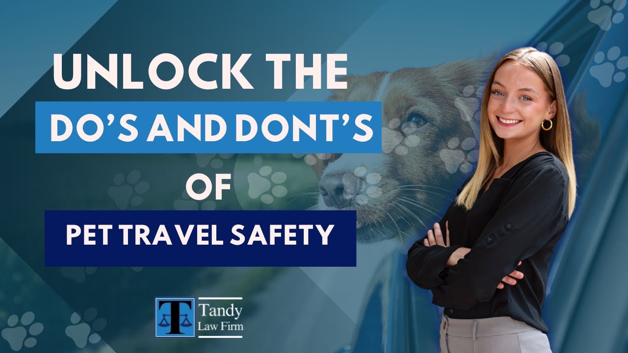 Paws and Precautions: The Ultimate Guide to Pet Travel Safety Do’s and Don’ts