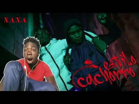 N.A.N.A. - Estilo Cachorro [OFFICIAL MUSIC VIDEO]|REACT/REAÇÃO:🇲🇿/🇧🇷
