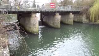 preview picture of video 'A walk along the River Thames at Hurley'