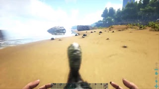 ARK 初心者向けの初心者配信