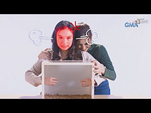Kung paano mangayayat nang walang pagdidyeta sa 10 Kung bakit ang isang tao loses timbang sanhi
