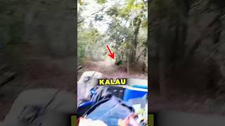 Download lagu Burung Paling Bahaya Di Dunia 😳… Tapi Dia Ayah Paling Sweet?! mp3