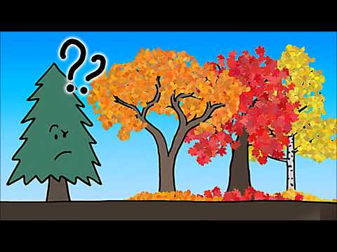 download lagu mp3 mp4 Trees Through The Seasons, download lagu Trees Through The Seasons gratis, unduh video klip Trees Through The Seasons