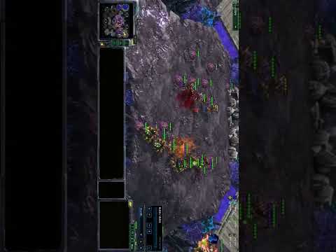 queen v hydra #shorts