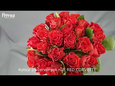 Kytice 25 červených růží RED CORVETTE