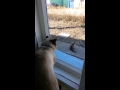 Эй,Подруга,посмотри на меня!!!Делай,как я!!!! :-D 