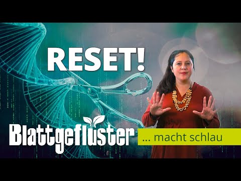 Grabenkämpfe um Grüne Gentechnik? Bioökonomie-Experte entschlüsselt Mehrdimensionalität der Debatte