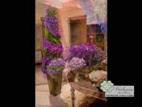 Programa Neusa Bighetti exibido no dia 29/11/2009 - Galeria das Flores