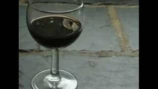 Elton John - Elderberry Wine