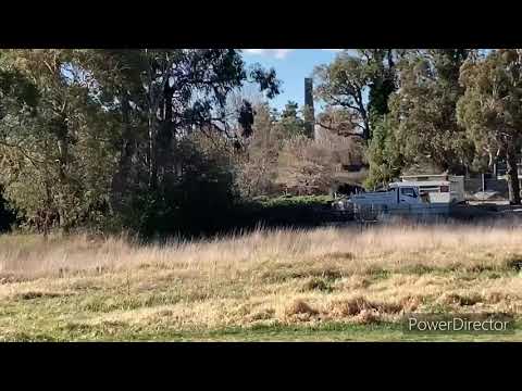 G518 ssr train at burradoo