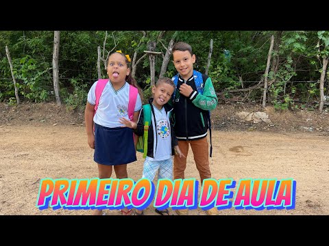 PRIMEIRO DIA DE AULA DOS CATITOS