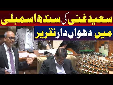سندھ اسمبلی میں سعید غنی کی تقریر