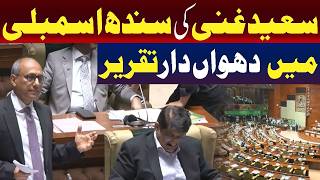 سندھ اسمبلی میں سعید غنی کی تقریر