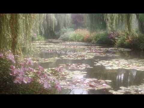 instrumental music for feeling like you're in a fairytale 🗝️| a fantasy playlist