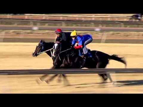 HALVE THE DEFICIT GALLOP   Computer