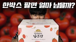 토마토 한박스 팔면 얼마남을까요?