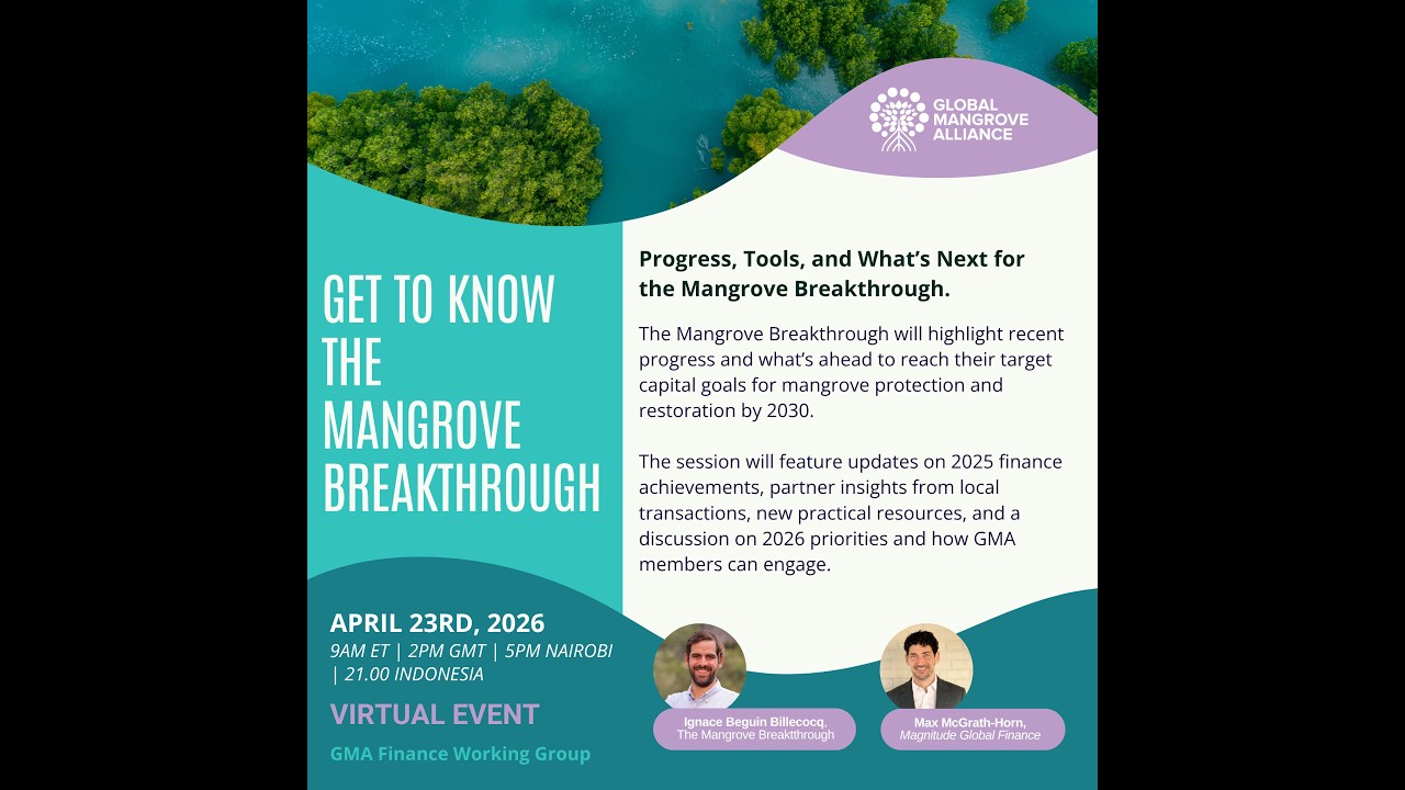 Meet the Mangrove Breakthrough