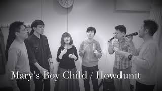 Mary&#39;s Boy Child/  Howdunit