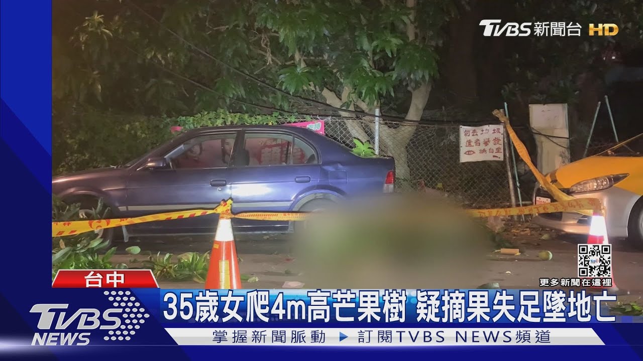 35歲女爬4公尺高芒果樹 疑摘果失足墜地亡