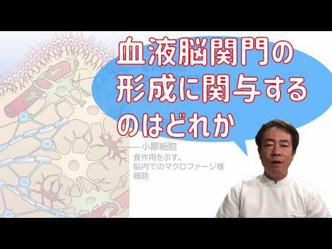 Nuvola アプリ kpercentage.png