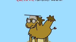 O Areias é um Camelo (PT-PT Português-Portugal)