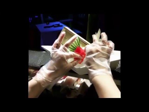 Wild Fusion Restaurant Sashimi Episode 1