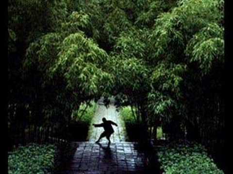 Bohdi Sanders - Meditative Journey through Asian Wisdom