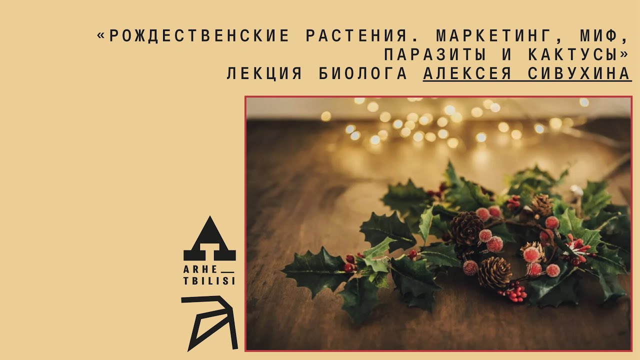 Рождественские растения. Маркетинг, миф, паразиты и кактусы | Алексей Сивухи?