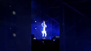 Bustamante Miento Concierto Estepona 02-06-2018