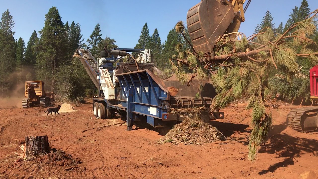 Masticating Job | Ridge Logging | Nevada County, NV