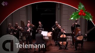 Telemann: Oboe Concerto, TWV 51:f1 - Combattimento - Live concert HD