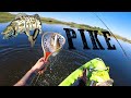 Video Thumbnail for How To Catch Northern PIKE And Perch! Best Fishing Lure Hooks! Kayak Fishing In Saskatchewan