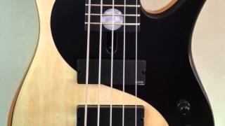 Video thumbnail for Fodera Yin Yang Standard 5 by FretSpot