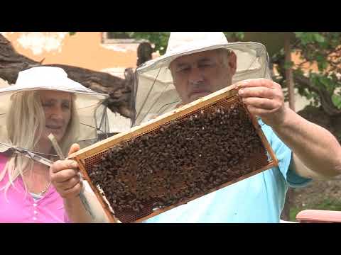 Boja meda ep. 147 29.12.2020. SPOS, Rodoljub Živadinović, analiza godine, stanje u košnici zimi