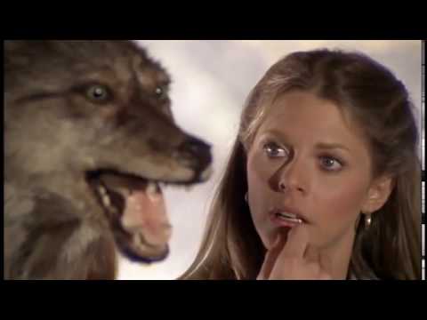 A Mulher Biônica O Demônio da Noite