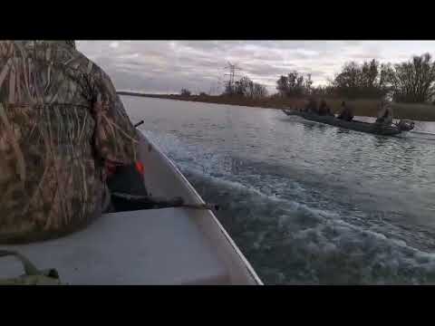 Gänsejagd vom Boot in Widuchowa 2023