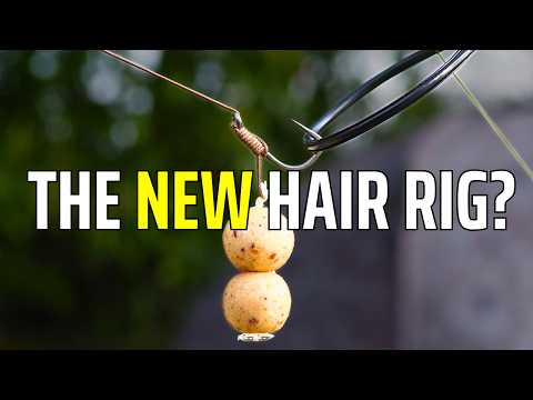 Single/Multiple/Big/Small/Corn/Tiger nuts/PVA bag/PVA stick: This Rig Does It All 🎯