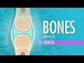 Joints Crash Course Anatomy Physiology 20