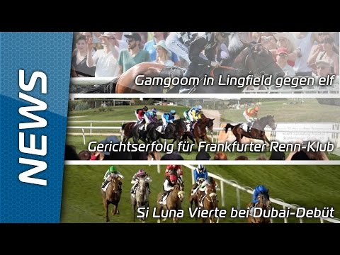 Sport-Welt TV News | 05.02.2016 | Gamgoom in Lingfield gegen elf