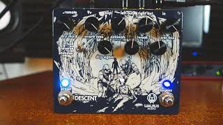 Video thumbnail for Walrus Audio Descent - 10 marvelous ambient sounds! by Antoine Michaud