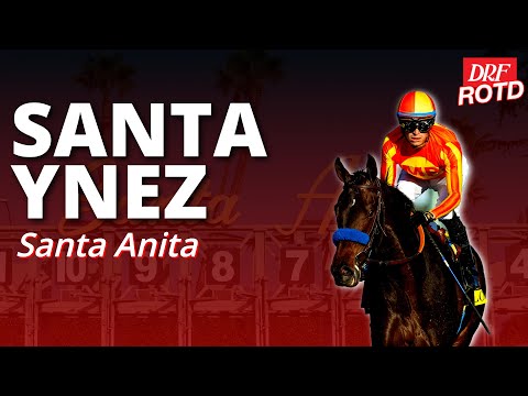DRF Saturday ROTD | Santa Ynez Stakes @ Santa Anita | January 10, 2026