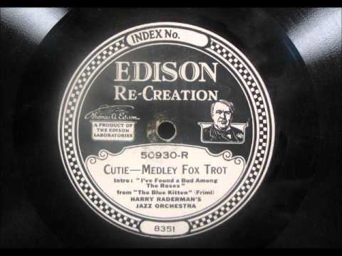 MEDLEY FROM THE BLUE KITTEN by Harry Raderman's Jazz Orchestra 1922 DD50930
