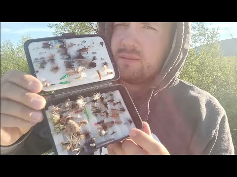 Harjuskalaan yöksi. Sopuli vlog 2/100