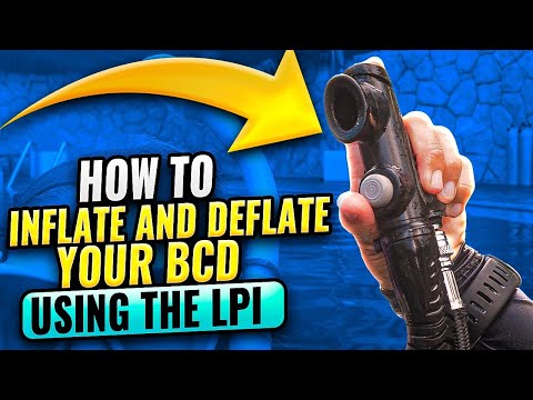 Scuba Diving Skills: How to Inflate and Deflate your BCD Using the LPI | Scuba Equipment 101
