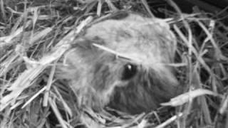 Why did they have to go?!