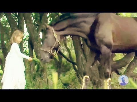 Aurel Maior - Copilărie